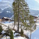 Apartment Spassvogel By Interhome Grindelwald