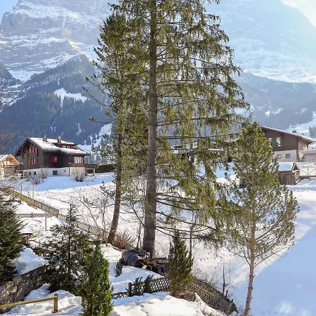 Apartment Spassvogel By Interhome Grindelwald