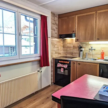 Spassvogel By Interhome Гриндельвальд