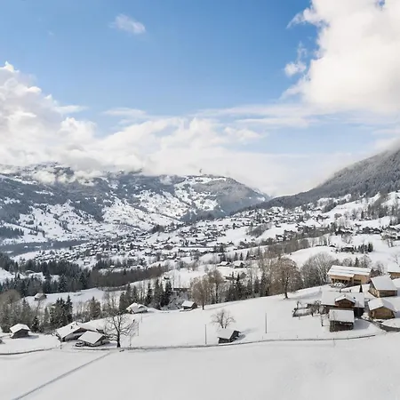 Spassvogel By Interhome * 格林德瓦