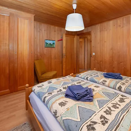 Spassvogel By Interhome Apartment Grindelwald