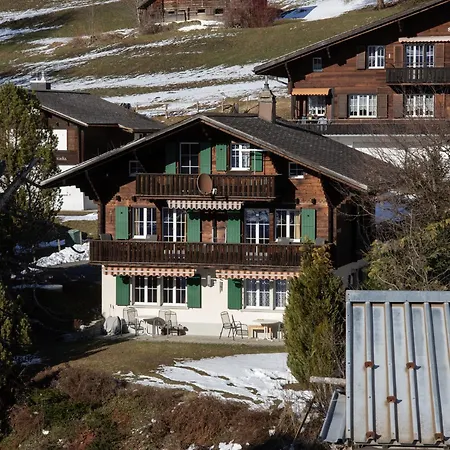 Spassvogel By Interhome Lejlighed Grindelwald