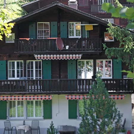Spassvogel By Interhome Grindelwald