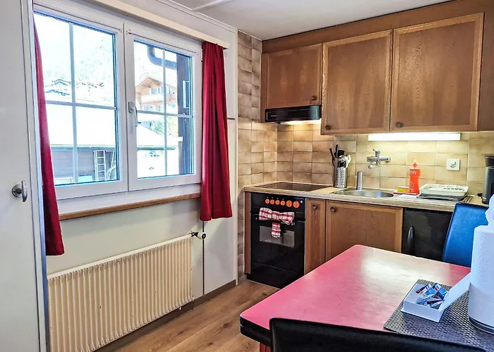 Spassvogel By Interhome 格林德瓦