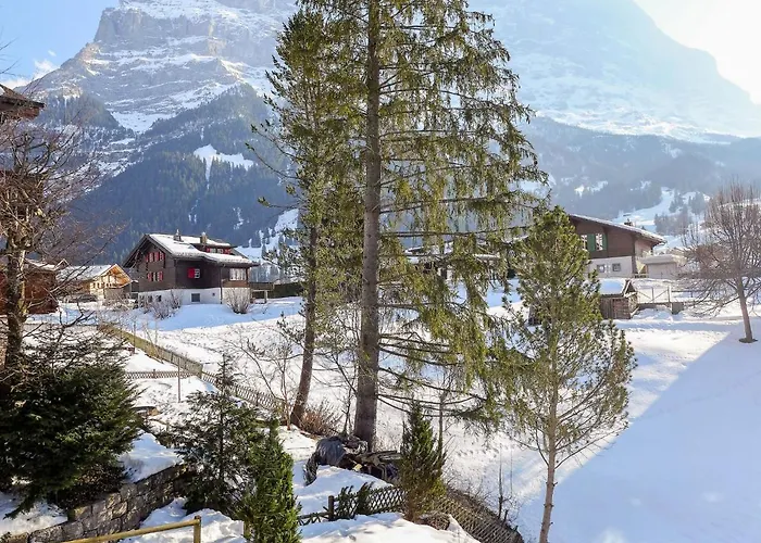 Apartman Spassvogel By Interhome Grindelwald