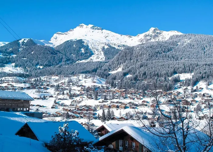 Spassvogel By Interhome * Grindelwald